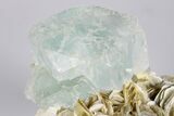 Wide Aquamarine Crystal On Muscovite Matrix - Pakistan #93520-10